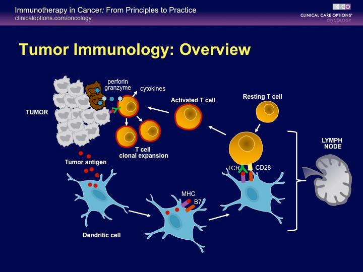 cancer research tumor biology and immunology